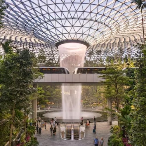 Jewel Changi Airport (Hedge Maze w Canopy Park)